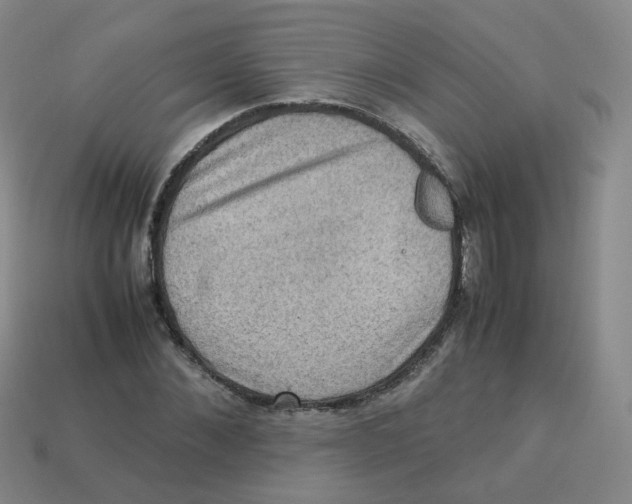 X0000113310876200910131105