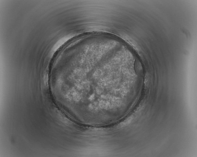 X0000113310877200910131105