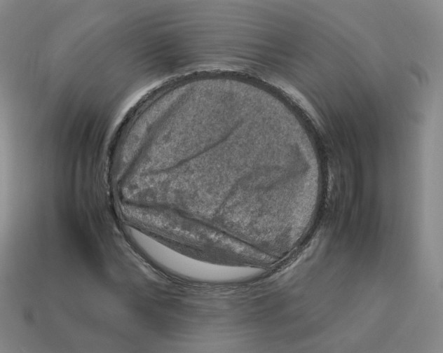 X0000113310878200910131105