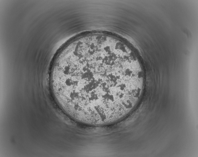 X0000113310879200910131105