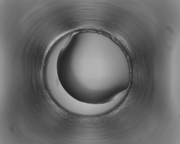 X0000113310880200910131105