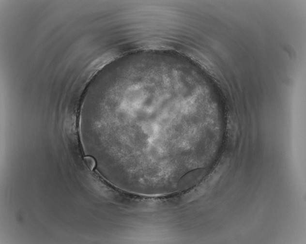 X0000113310881200910131105