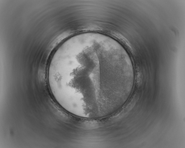 X0000113310882200910131105