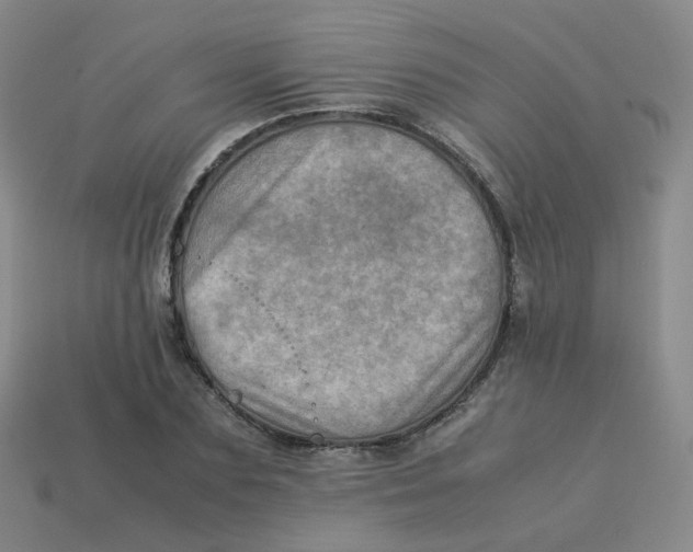 X0000113310883200910131105