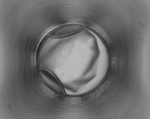 X0000113310884200910131105