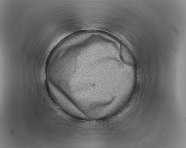 X0000113310885200910131105