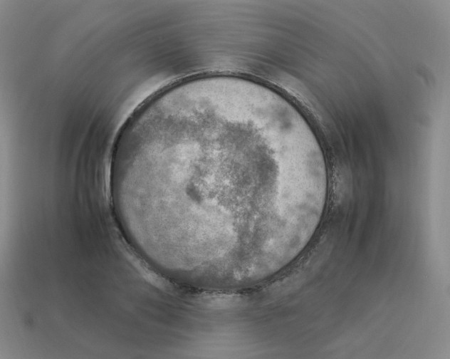 X0000113310886200910131105