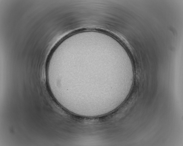 X0000113310887200910131105