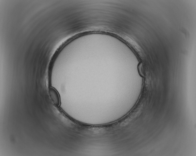 X0000113310888200910131105