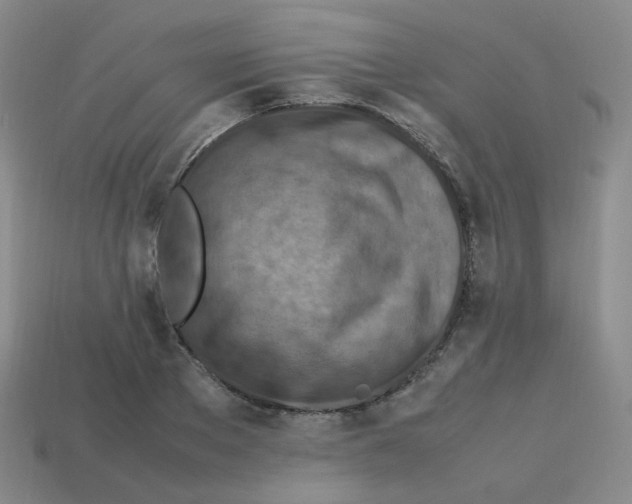 X0000113310889200910131105