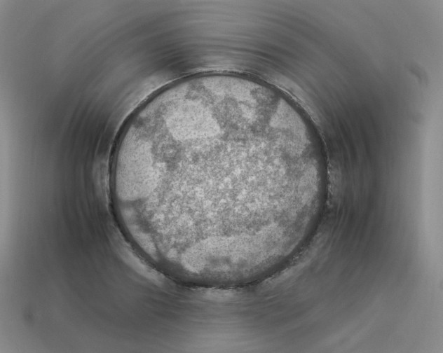 X0000113310890200910131105