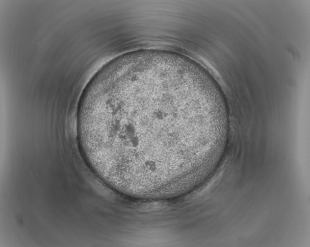 X0000113310891200910131105