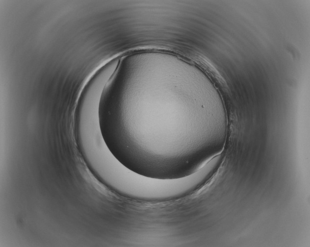 X0000113310892200910131105