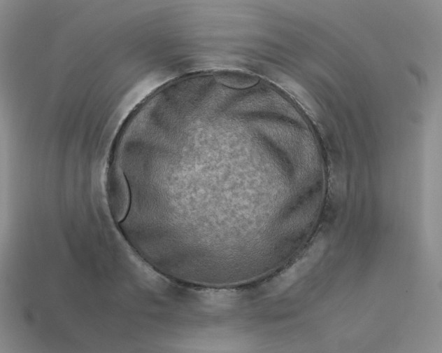 X0000113310893200910131105