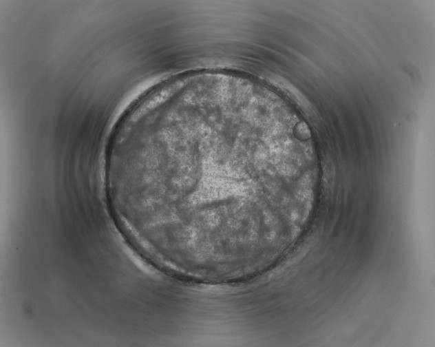 X0000113310894200910131105