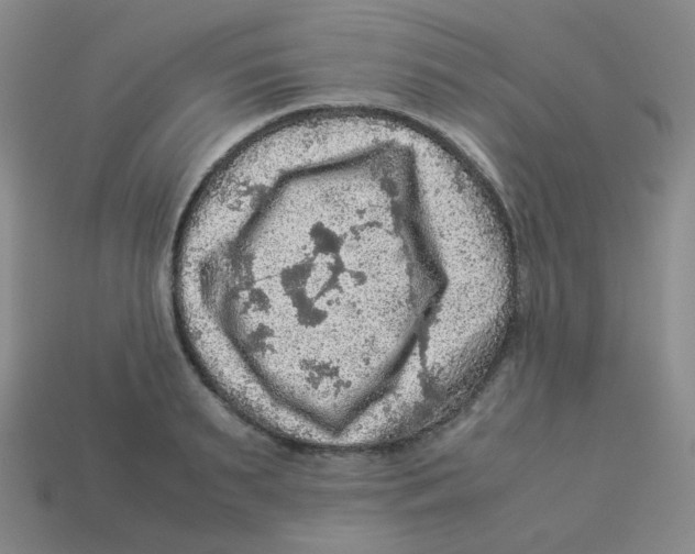 X0000113310895200910131105