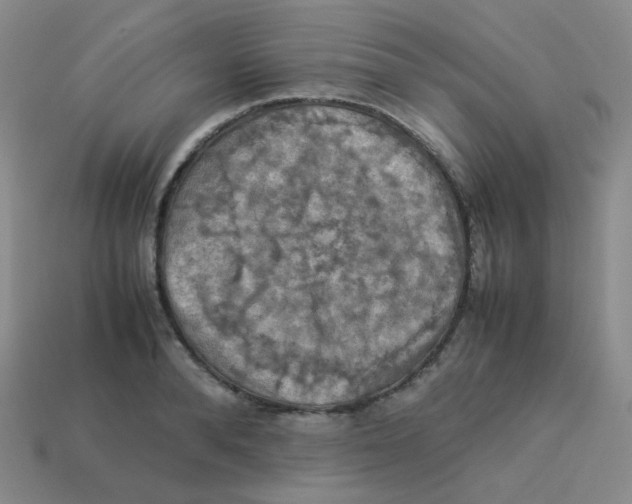 X0000113310896200910131105