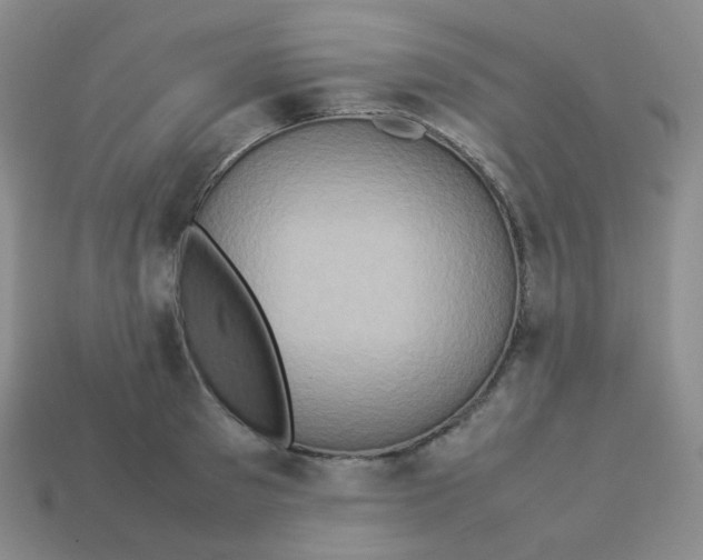 X0000113310897200910131105