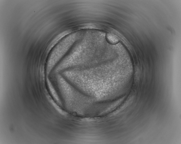 X0000113310898200910131105