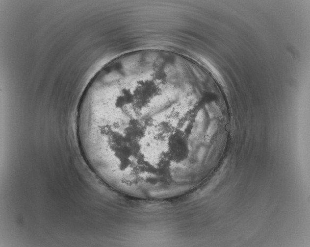 X0000113310899200910131105