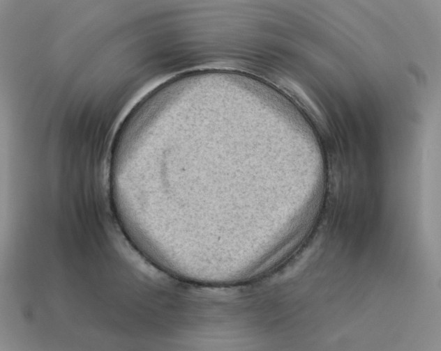 X0000113310900200910131105