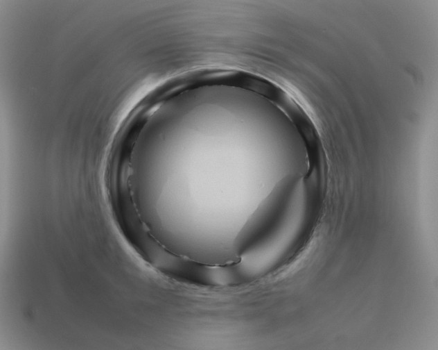 X0000113310901200910131105