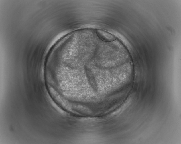 X0000113310902200910131105