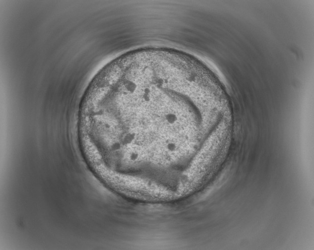 X0000113310903200910131105