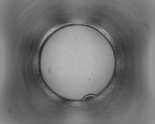 X0000113310904200910131105