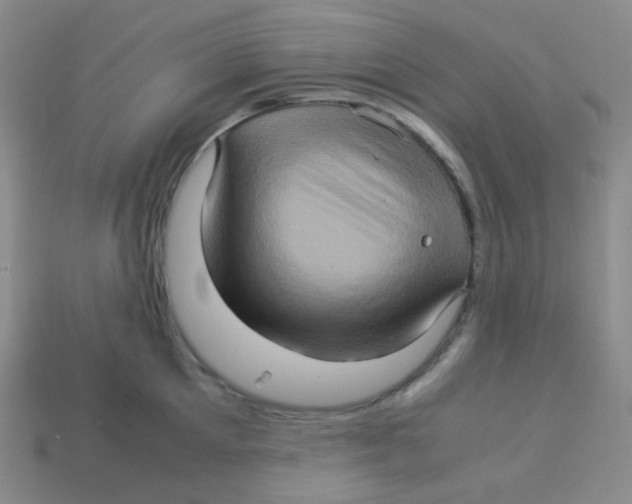 X0000113310905200910131105