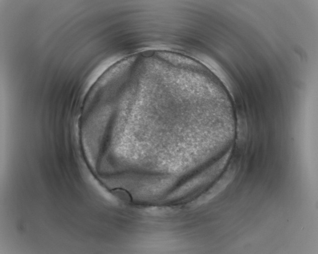 X0000113310906200910131105