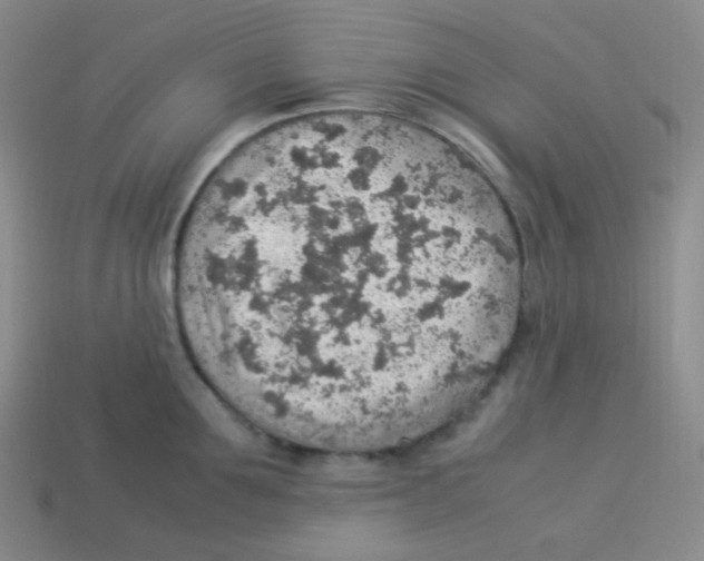 X0000113310907200910131105