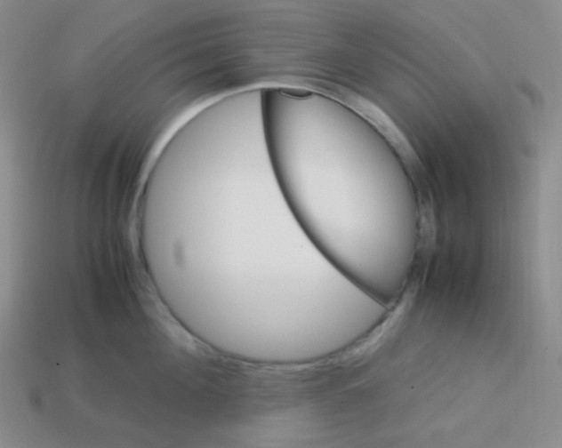 X0000113310908200910131105