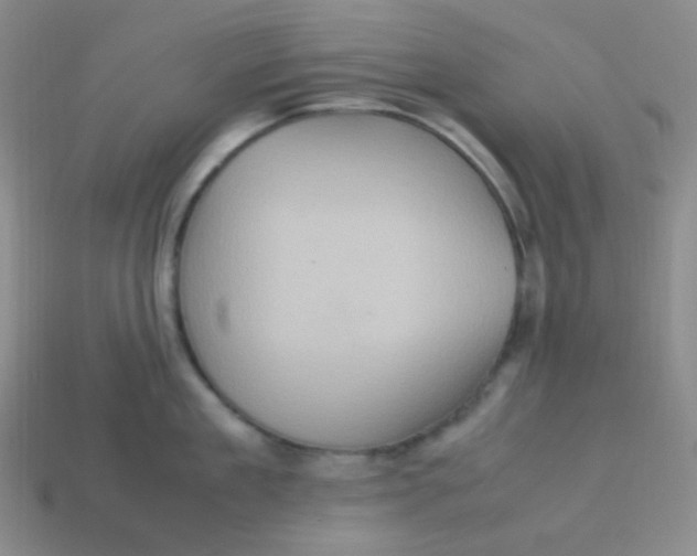 X0000113310909200910131105