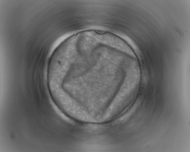 X0000113310910200910131105