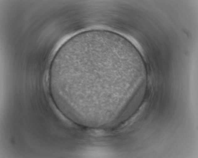 X0000113310911200910131105