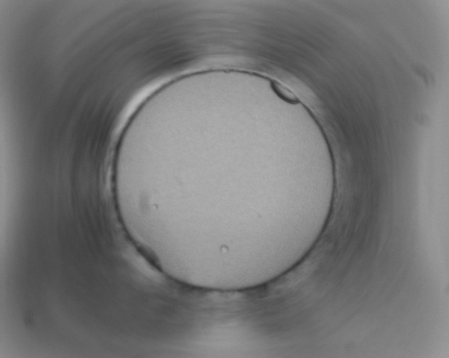 X0000113310912200910131105