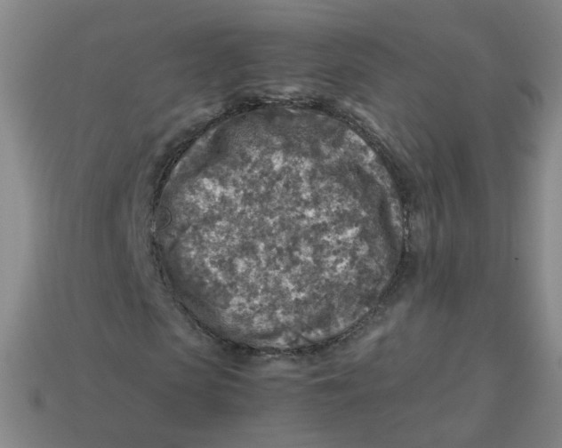 X0000113310913200910131104