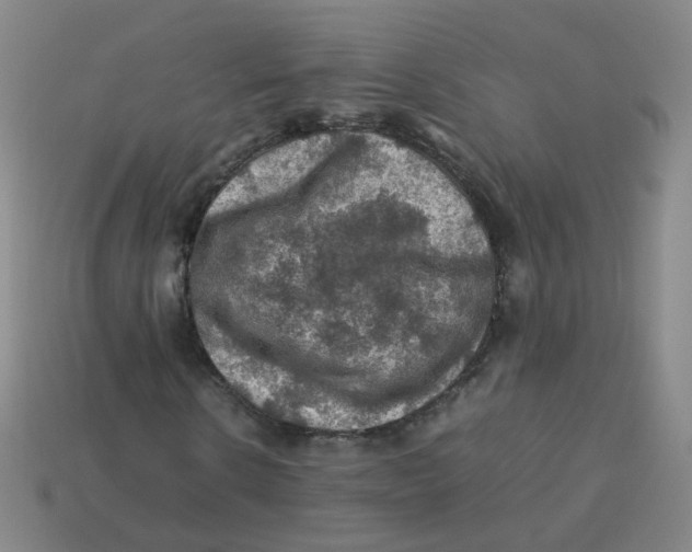 X0000113310914200910131104