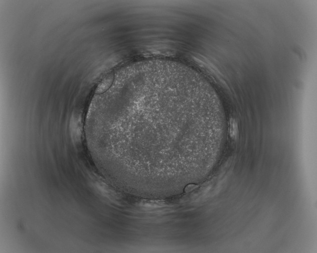 X0000113310915200910131104