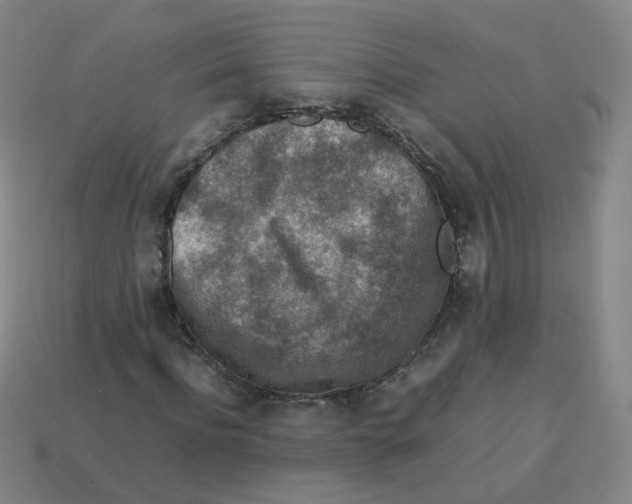 X0000113310916200910131104