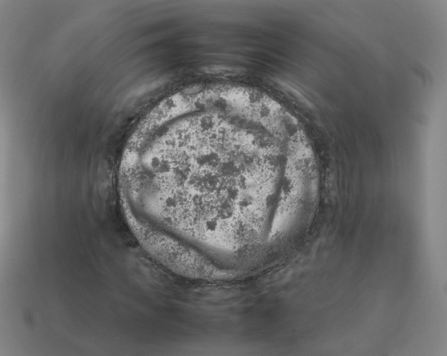 X0000113310917200910131104