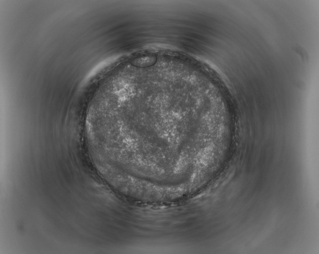 X0000113310919200910131104