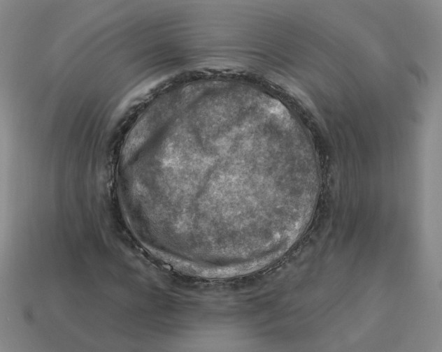 X0000113310920200910131104