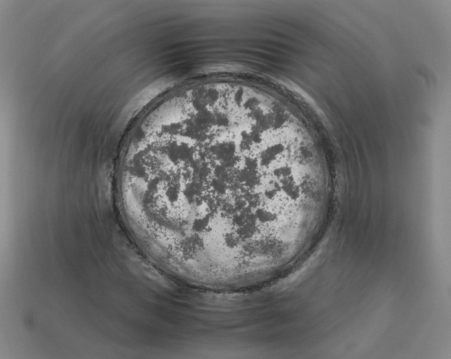 X0000113310921200910131104