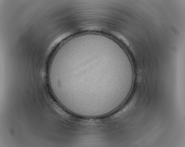 X0000113310922200910131104