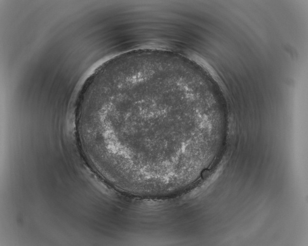 X0000113310923200910131104