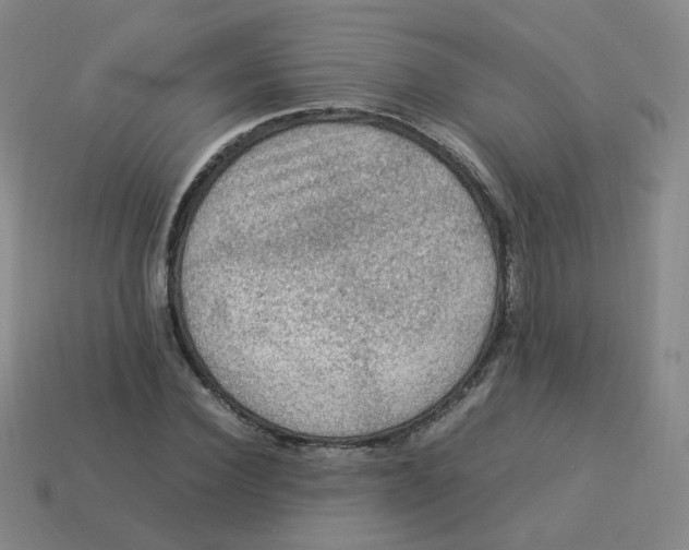 X0000113310924200910131104