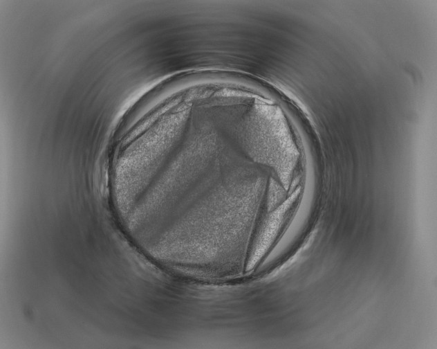 X0000113310925200910131104