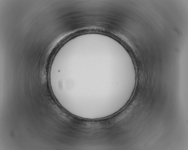 X0000113310927200910131104